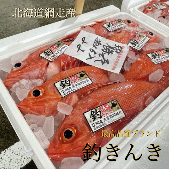 釣きんき