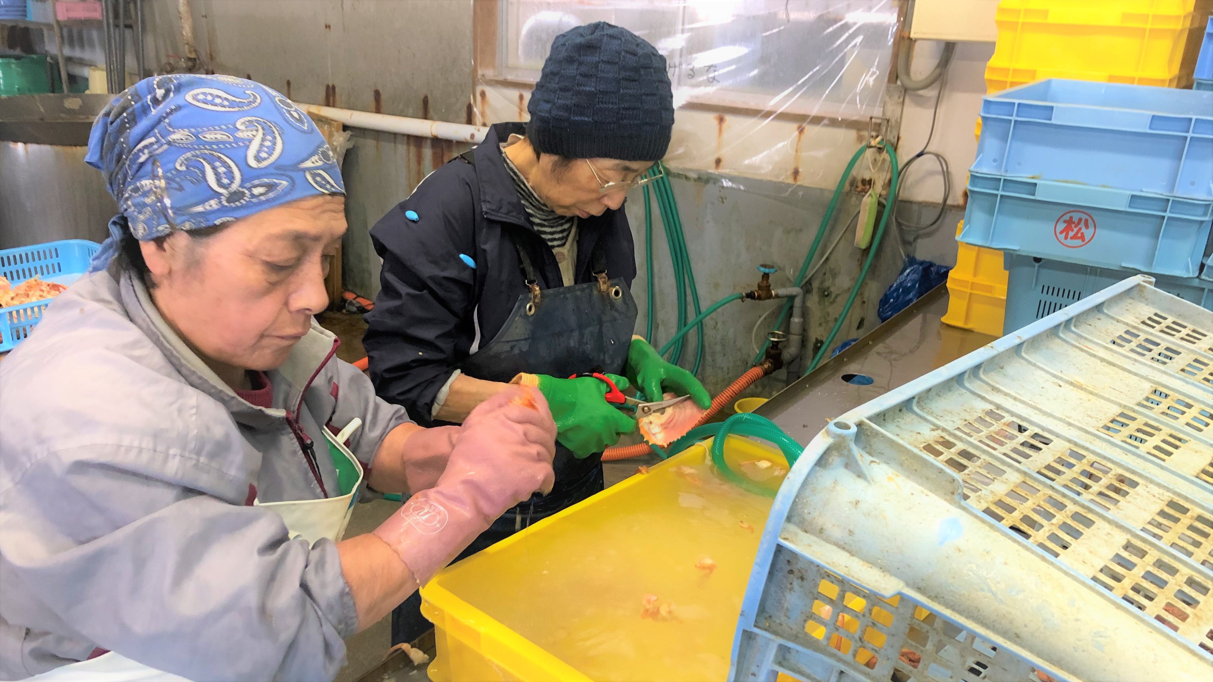 かにハラミ洗浄