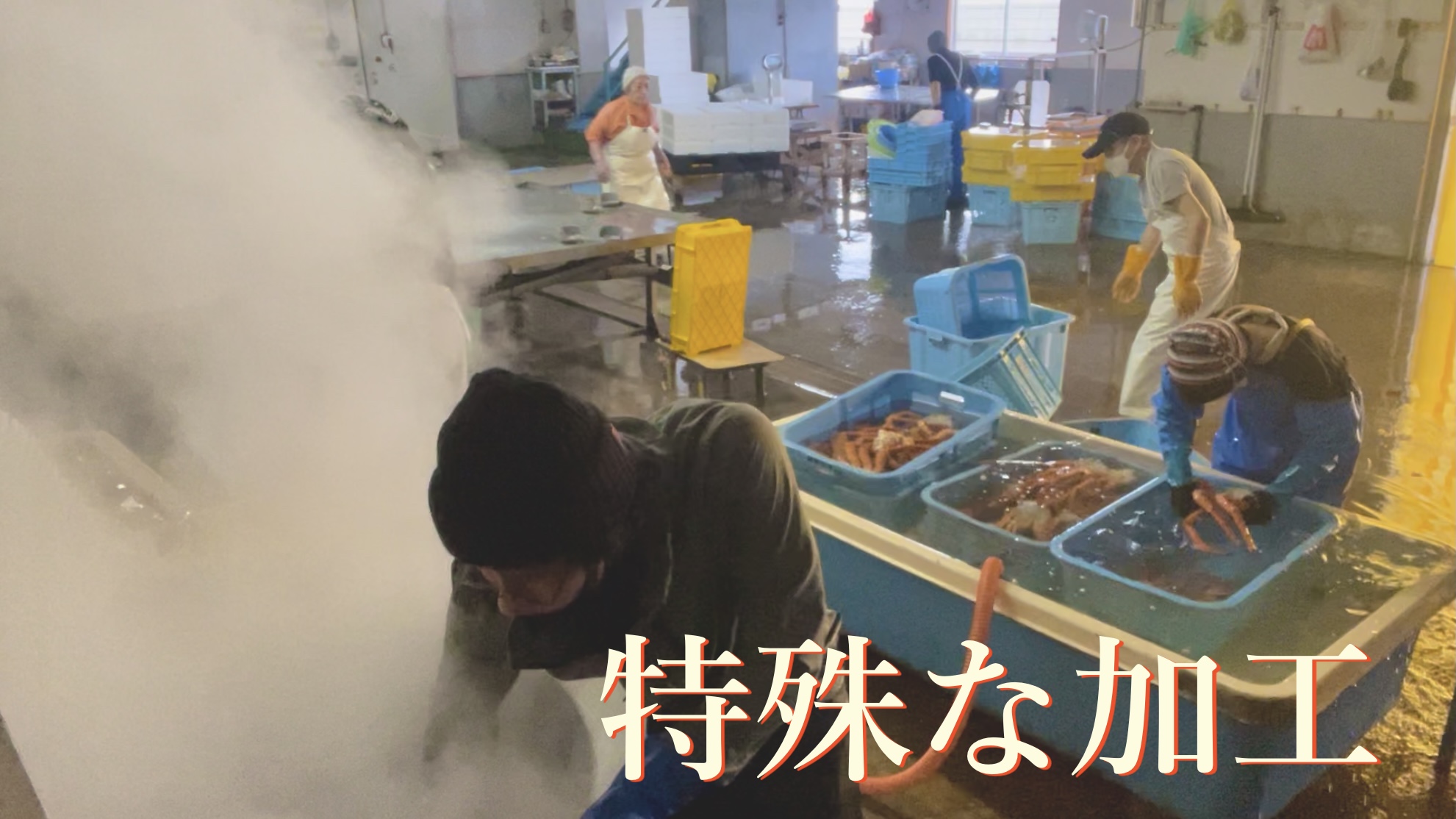 イバラガニ いばらがに MASA