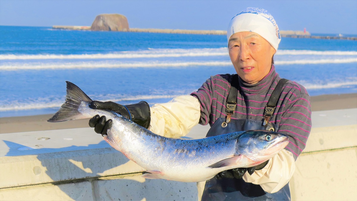 秋鮭