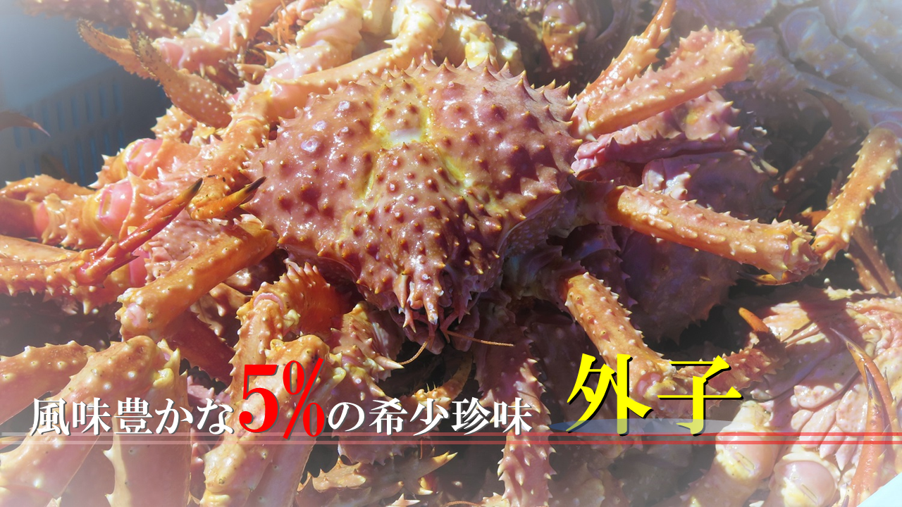 外子
