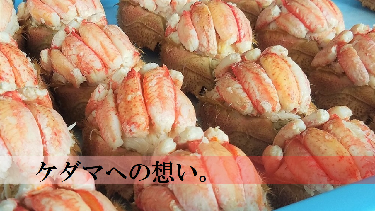 ケダマ