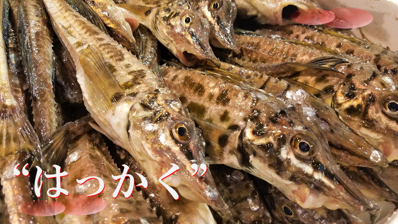 八角