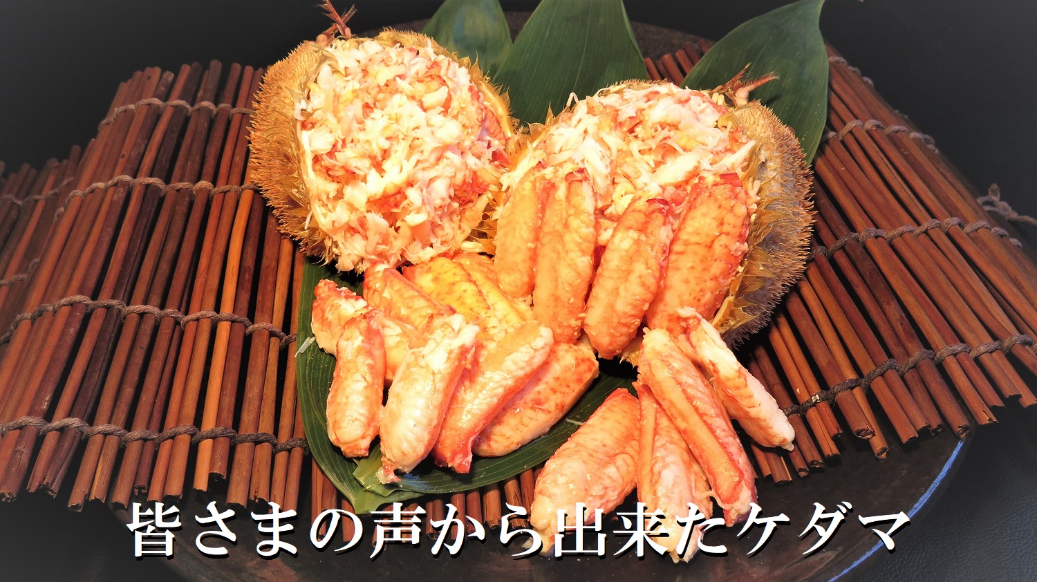 IMG_ケダマ