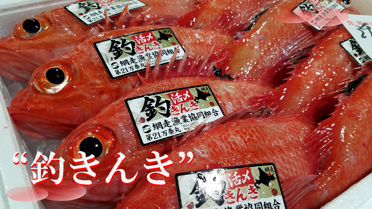 釣きんき